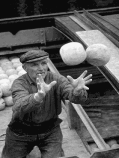 Funny Screensavers 0049